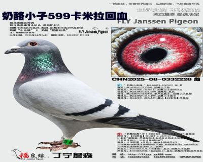 ���������ָ롰��������599��Ѫ