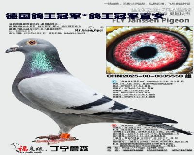 �¹������ھ�/�����ھ�ֱŮ