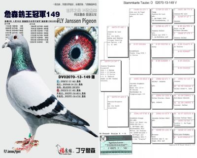 ��ĸ����