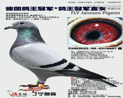 ��ĸ����