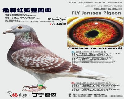 ղɭ��ħ��ĸ���Ӷ��ػ�Ѫ