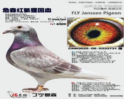 ղɭ��ħ��ĸ���Ӷ��ػ�Ѫ