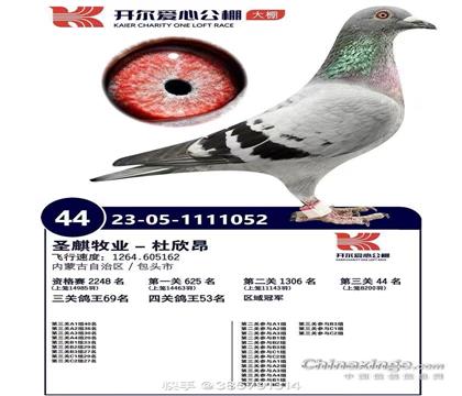 ͬ·�Ŀ����񽱸�