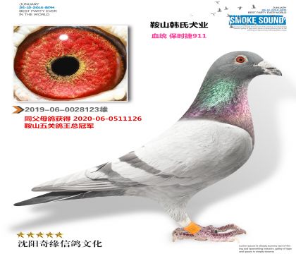 ��ʱ��911������ۺϹھ��ֵܣ�