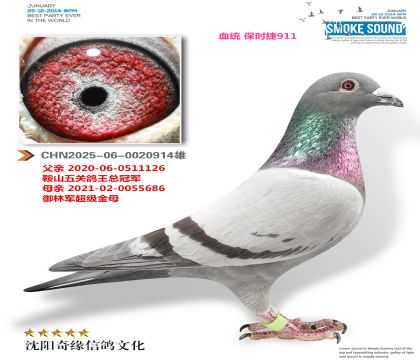 ��ʱ��911���ƽ����ֱ�ӣ�