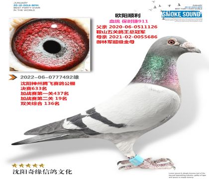 ��ʱ��911���ƽ����ֱ�ӣ�