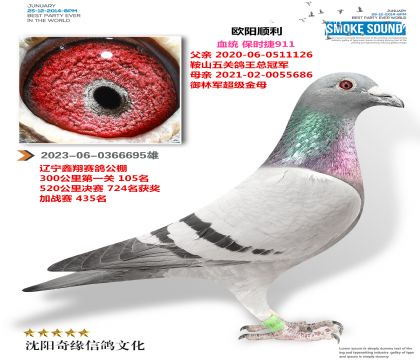 ��ʱ��911���ƽ���ԣ�ֱ��