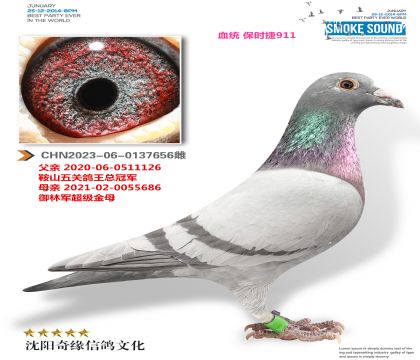 ��ʱ��911���ƽ����ֱŮ��