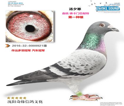 ��Ϧ��������������Ӵ����ƽ�����