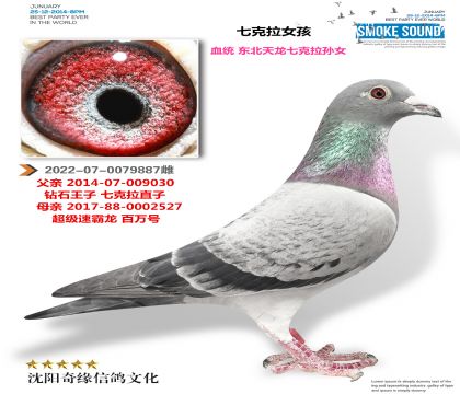 �����������߿�����Ů��