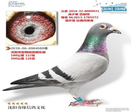 ��Ϧ�������������ӣ�