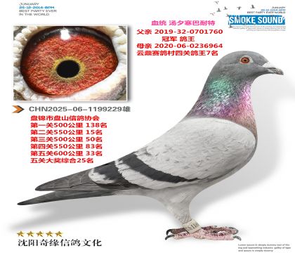 ��ظ���25�����ھ�������ֱ�ӣ�