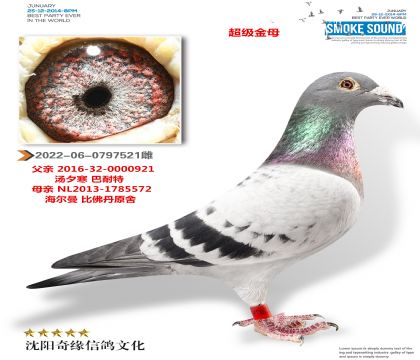 ��������Ů��������ĸ���Ѿ�������ֻ����