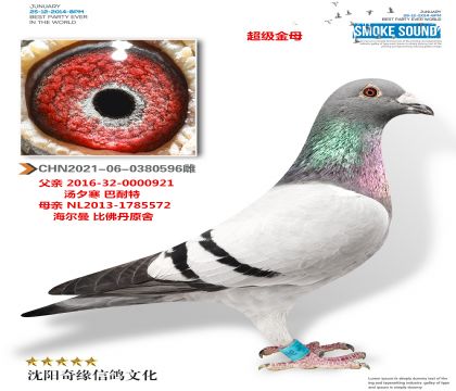 ��������Ů��������ĸ������������񽱸�