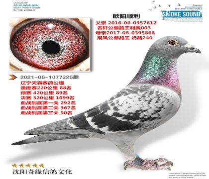 ���»ƽ����Ů��