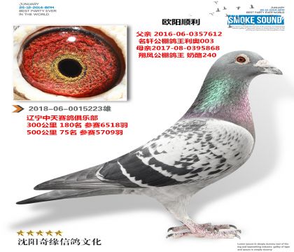 ���»ƽ����ֱ��