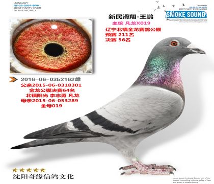 �����ҵ�������������56����