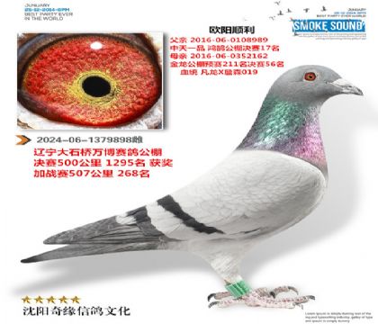 �������ֱŮ���򲩹���268����