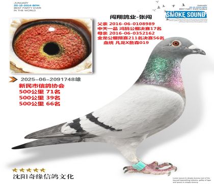 �������ֱ�ӣ���ذ����ڣ�