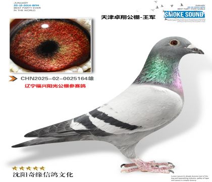 ���׿������