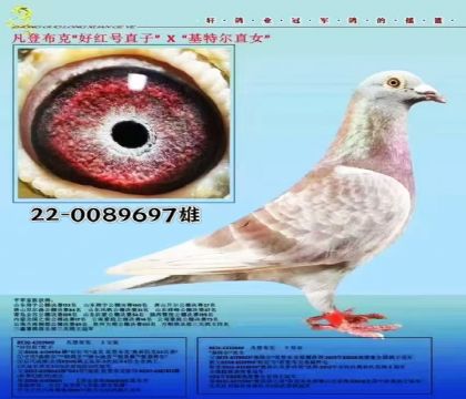 ���ǲ��˺ú��ֱ��X���ض�ֱŮ