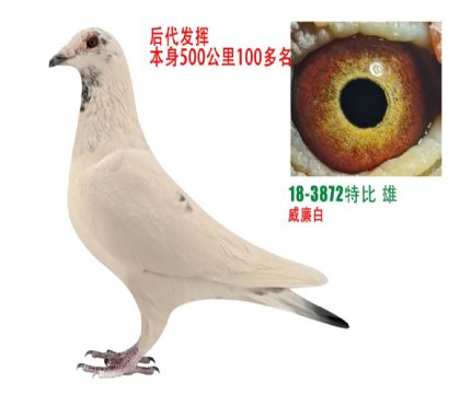 ������ϵ