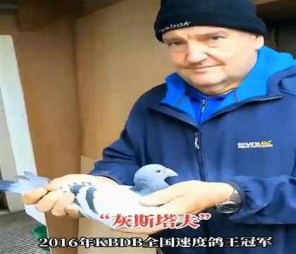 �游.��˹����