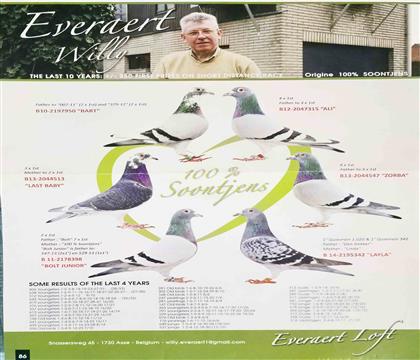 ������������