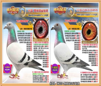 ��������ھ�ȫ���俪������ھ��ý����ִ�