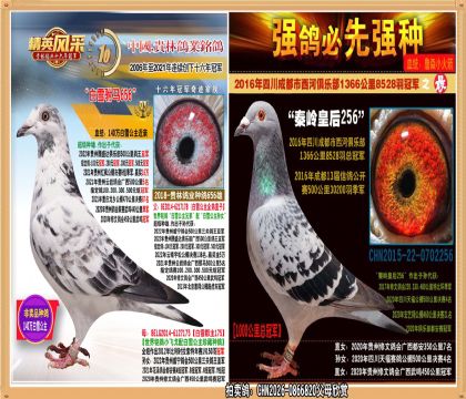 1000����ھ�ֱŮ.ƽ����400����ھ�450����ھ�