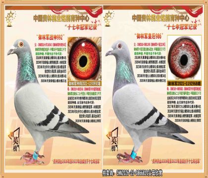 ���־�����������ܽ�ͷ�����ִ�.ƽ�������ھ�.�Ǿ�����