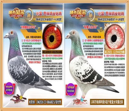 1300������ֱ���䰢������Ů��������.ƽ���������Ǿ�����