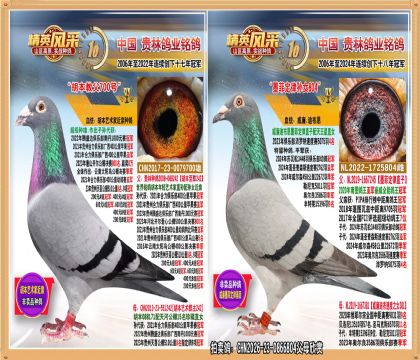 ���������ָ�̸�700��ֱ��.ƽ��400����ھ�.�׸����Ǿ�