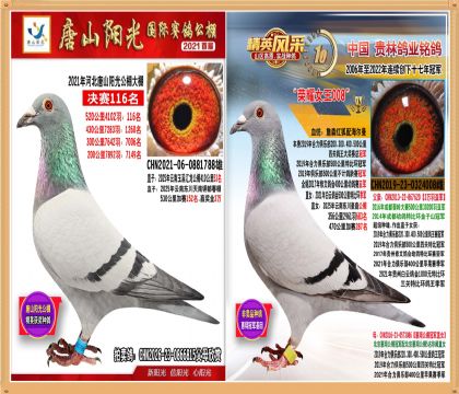 500��������ھ�����ɽ���⹫��116�����ֱ��