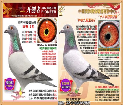 ��򿪴�����5��������Źھ����ֱ��