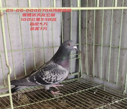 ��������������Ӯ7��