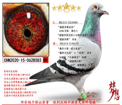 ��������ĸ����˹ɣ��ʿ������