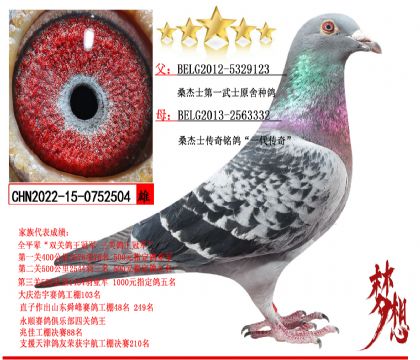 ɣ��ʿ��һ��ʿԭ�ᶥ������_����