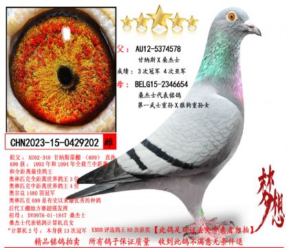 ����˹Xɣ��ʿ����һ��ʿ����X�ǹ�������Ů