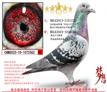 ɣ��ʿ��������Xɣ��ʿԭ�������