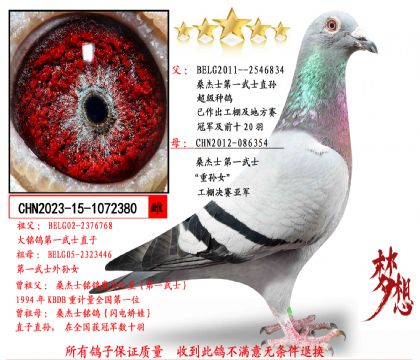 ɣ��ʿ��һ��ʿֱ��X��һ��ʿ����Ů