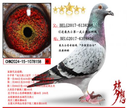 ɣ��ʿ��һ��ʿX��˹����Ů