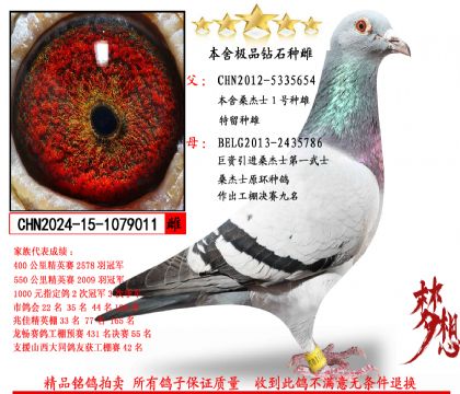 ����ɣ��ʿ1��������������ʯ�ִƣ�