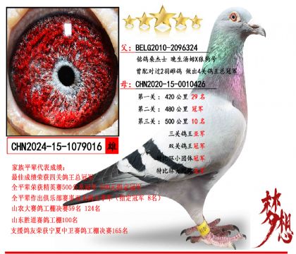 ������ķX�ǹ���X˫�عھ������Ǿ�