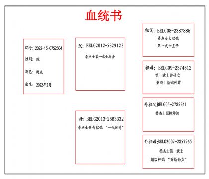 2022-15-0752504Ѫ_����