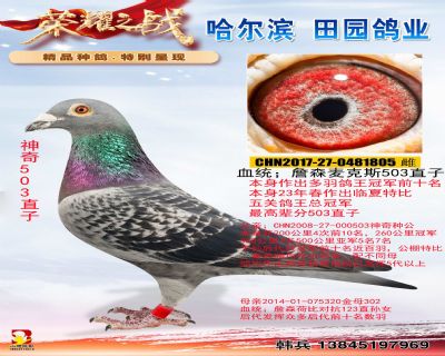 ���˹503ֱ��---------��ظ����ܹھ�����