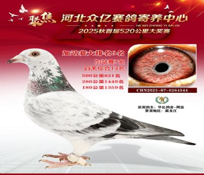 �ӱ����ڼ������ļ�վ��9��