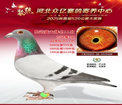 �ӱ����ڼ������ļ�վ��11��