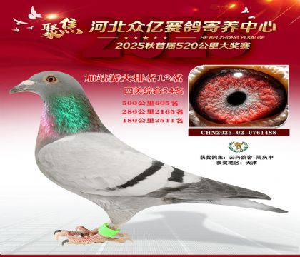 �ӱ����ڼ������ļ�վ��12��