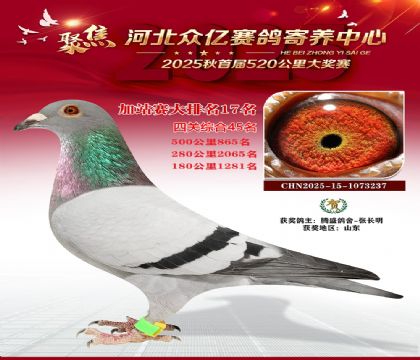 �ӱ����ڼ������ļ�վ��17��